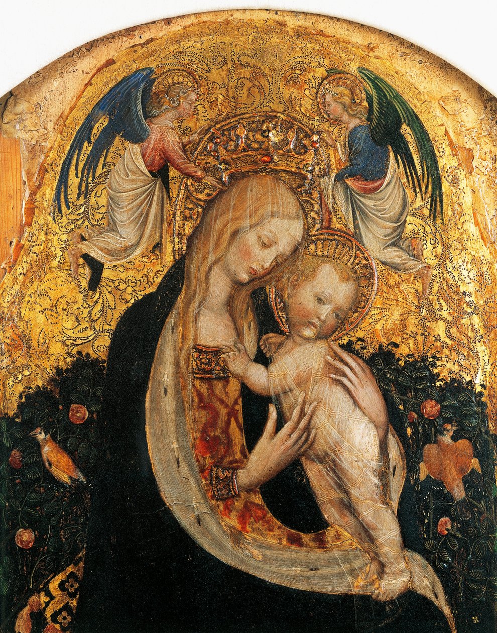 Madone de la caille par Antonio Pisanello (détail) - Antonio Pisanello