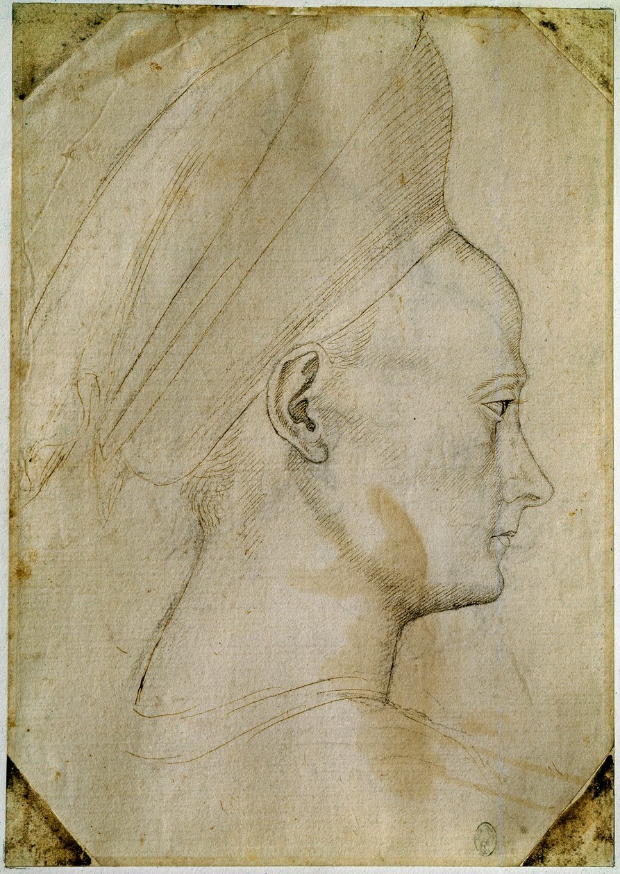Tête de jeune femme, de profil à droite - Antonio Pisanello
