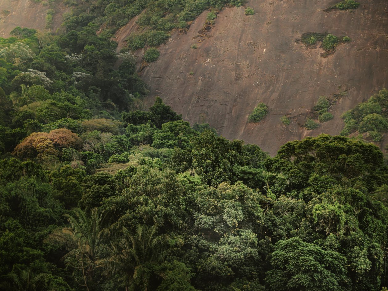 Corcovado XV, 2020 - Antonio Schubert