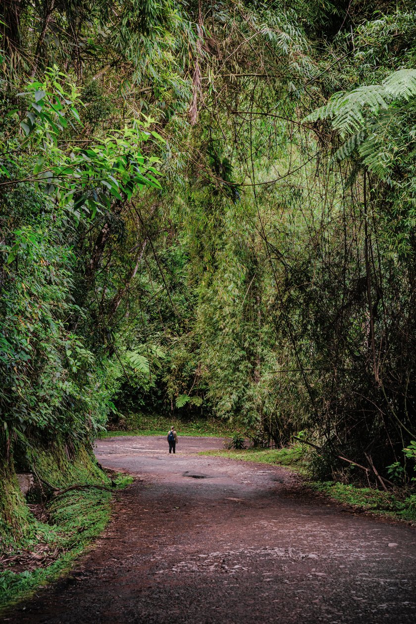 Mantiqueira XLIII, 2015 - Antonio Schubert