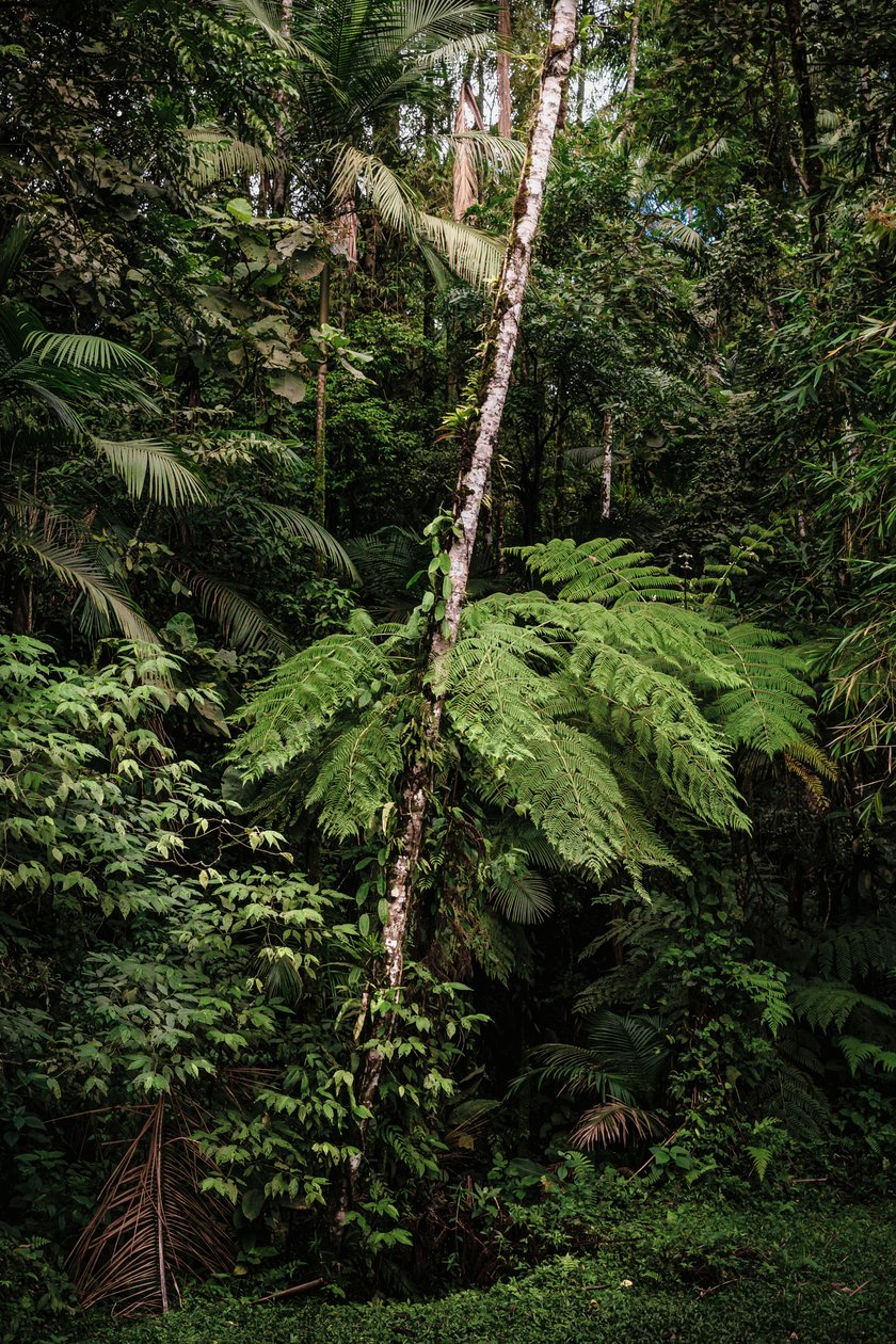 Mantiqueira XXXIV, 2015 - Antonio Schubert