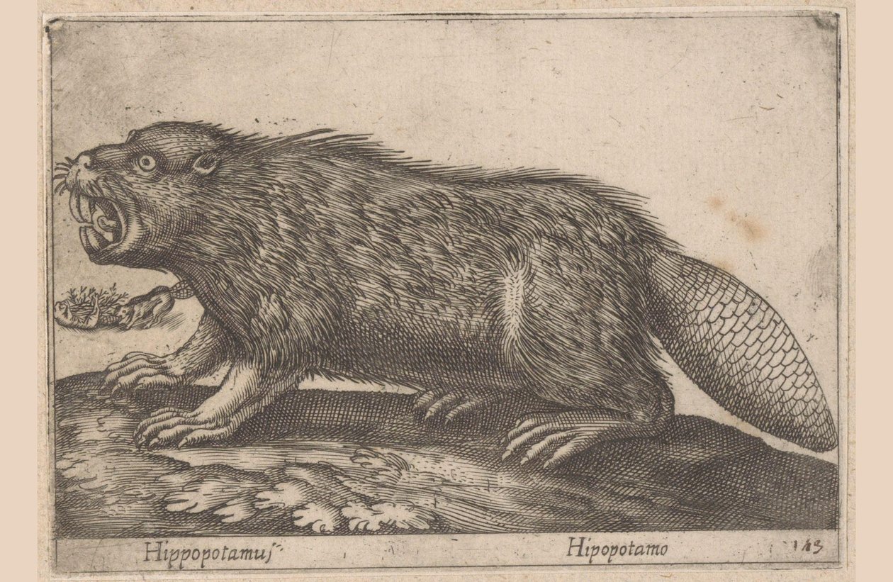 Castor - Antonio Tempesta