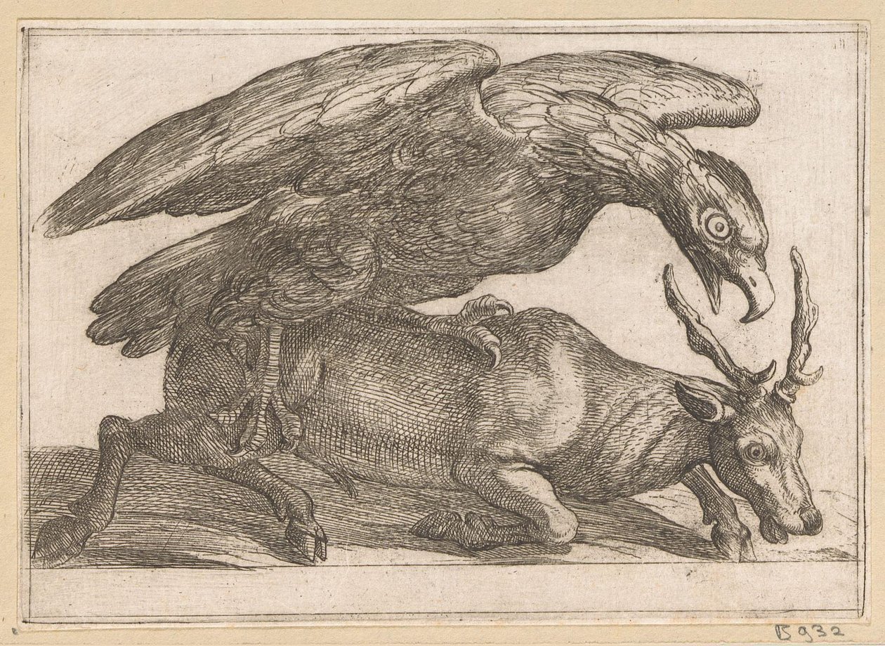 Un grand oiseau attaque un cerf (Animaux combattants) - Antonio Tempesta