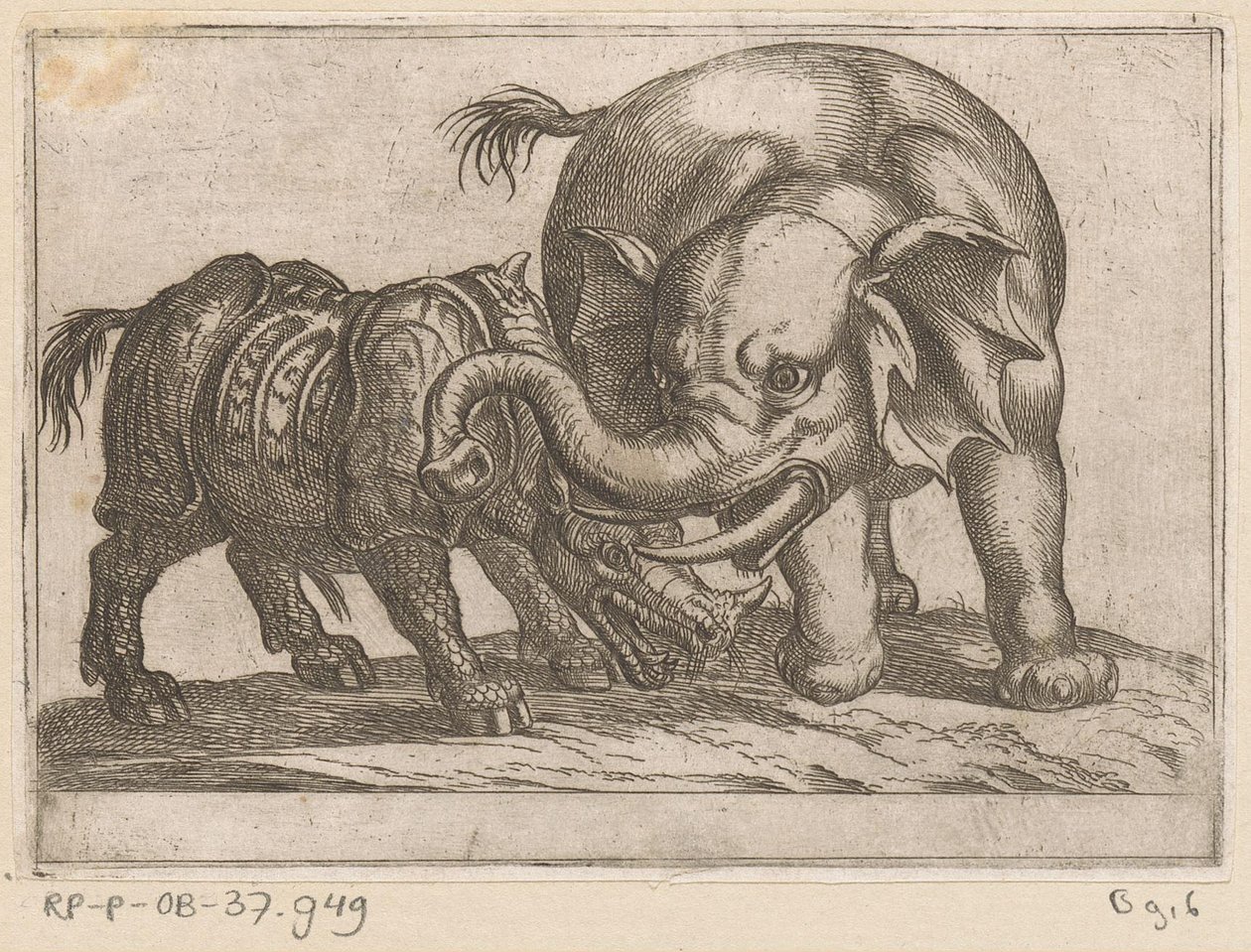 Un rhinocéros combat un éléphant - Antonio Tempesta