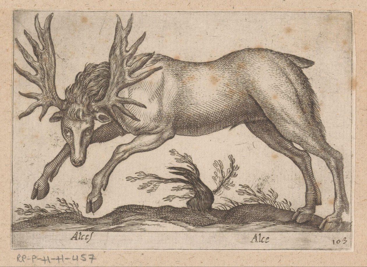 Élan - Antonio Tempesta