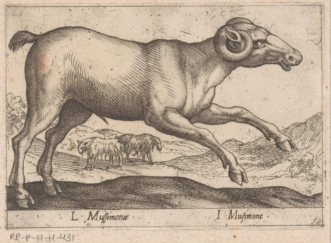 Caprin (Animaux et créatures fabuleuses) - Antonio Tempesta
