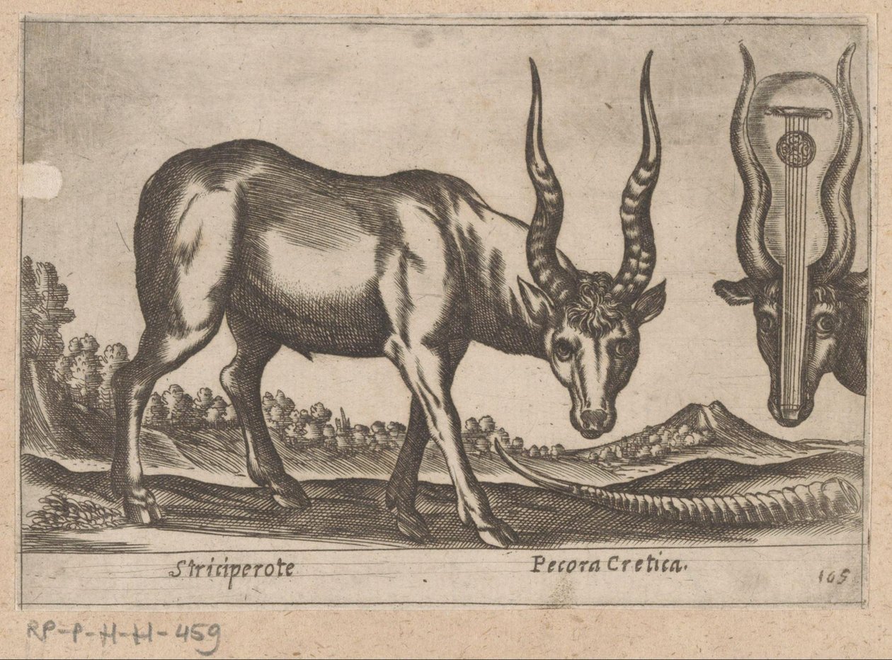 Deux antilopes (série Dieren en fabelwezens, Nova raccolta de li animali piu curiosi del mondo) - Antonio Tempesta