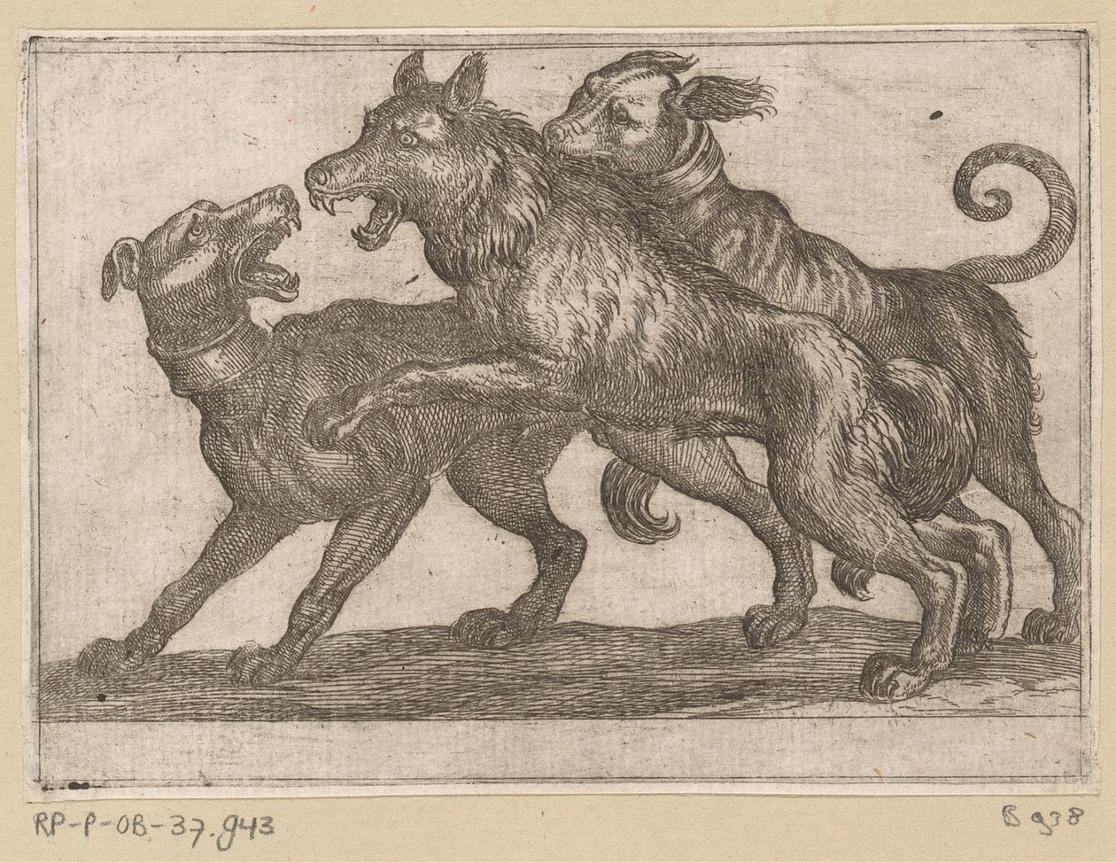 Deux chiens en combat avec un loup - Antonio Tempesta