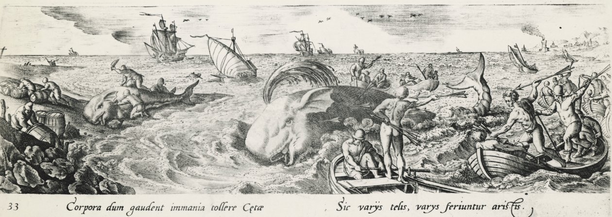 Chasse à la baleine, gravure d