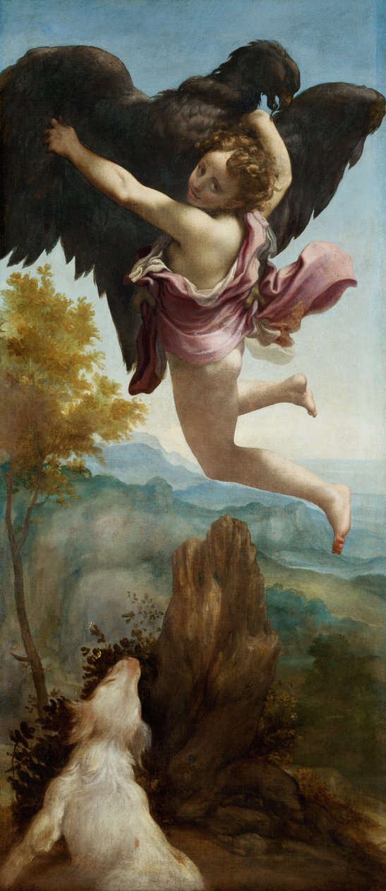 Le Rapt de Ganymède, 1520-1540 - Antonio da Correggio