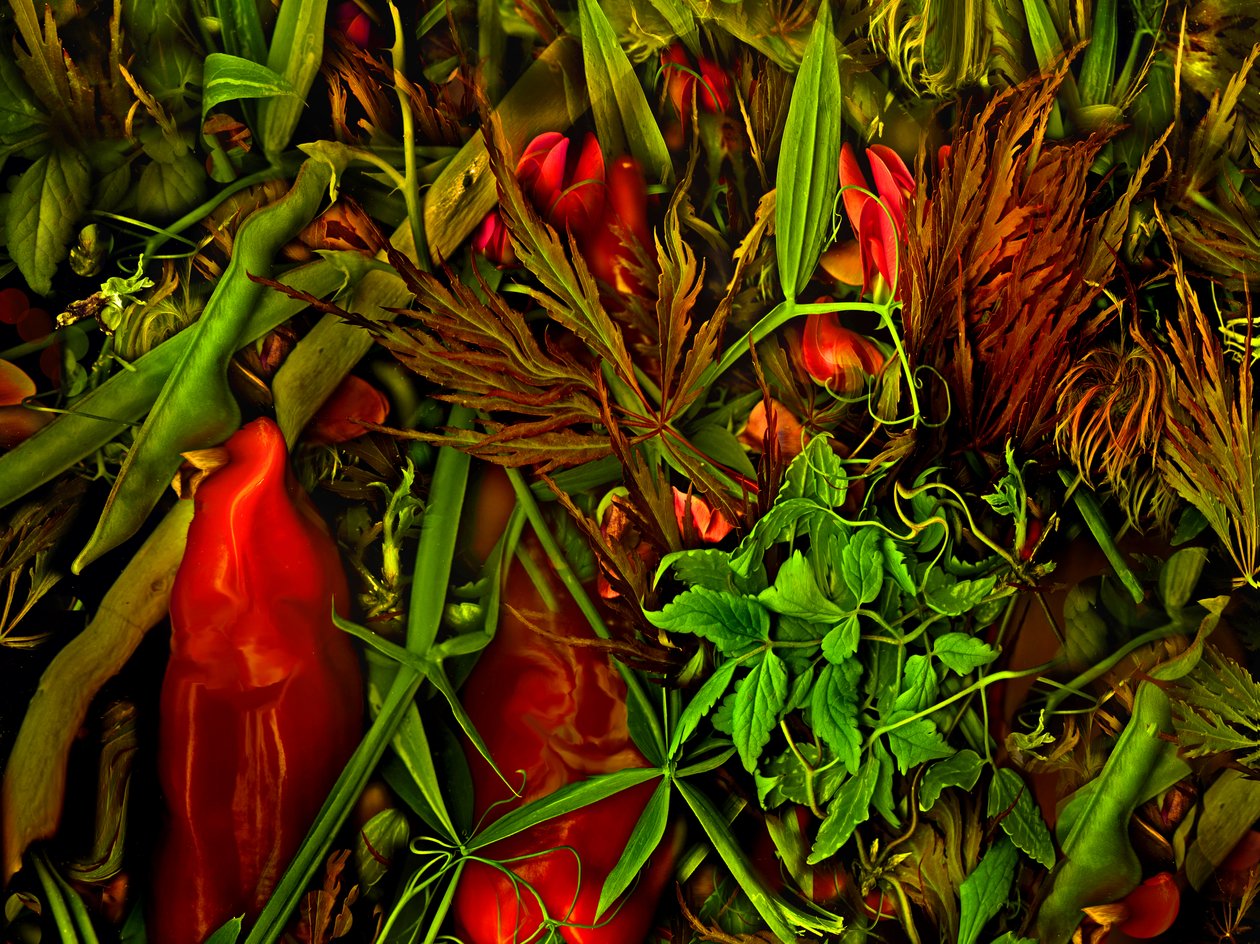 Autre monde, 2025 (photo) - Antonius Antonius