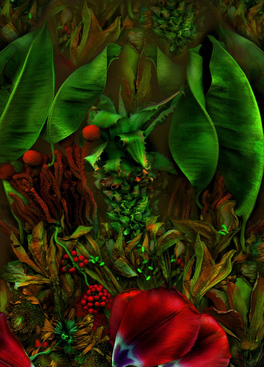 Anderswelt no.22-2, 2025 (photo) - Antonius Antonius