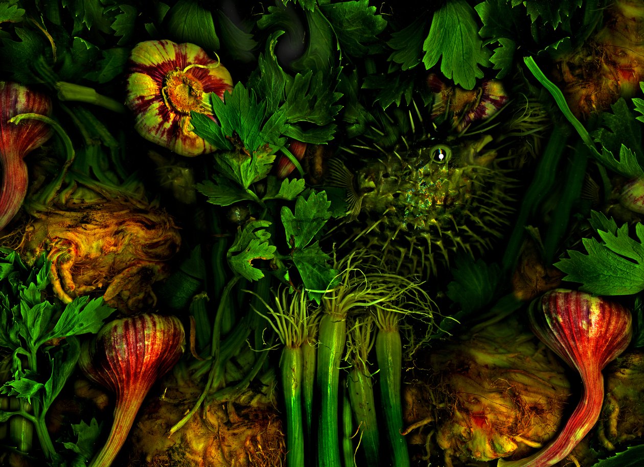 Anderswelten no.20, 2017 (photo) - Antonius Antonius