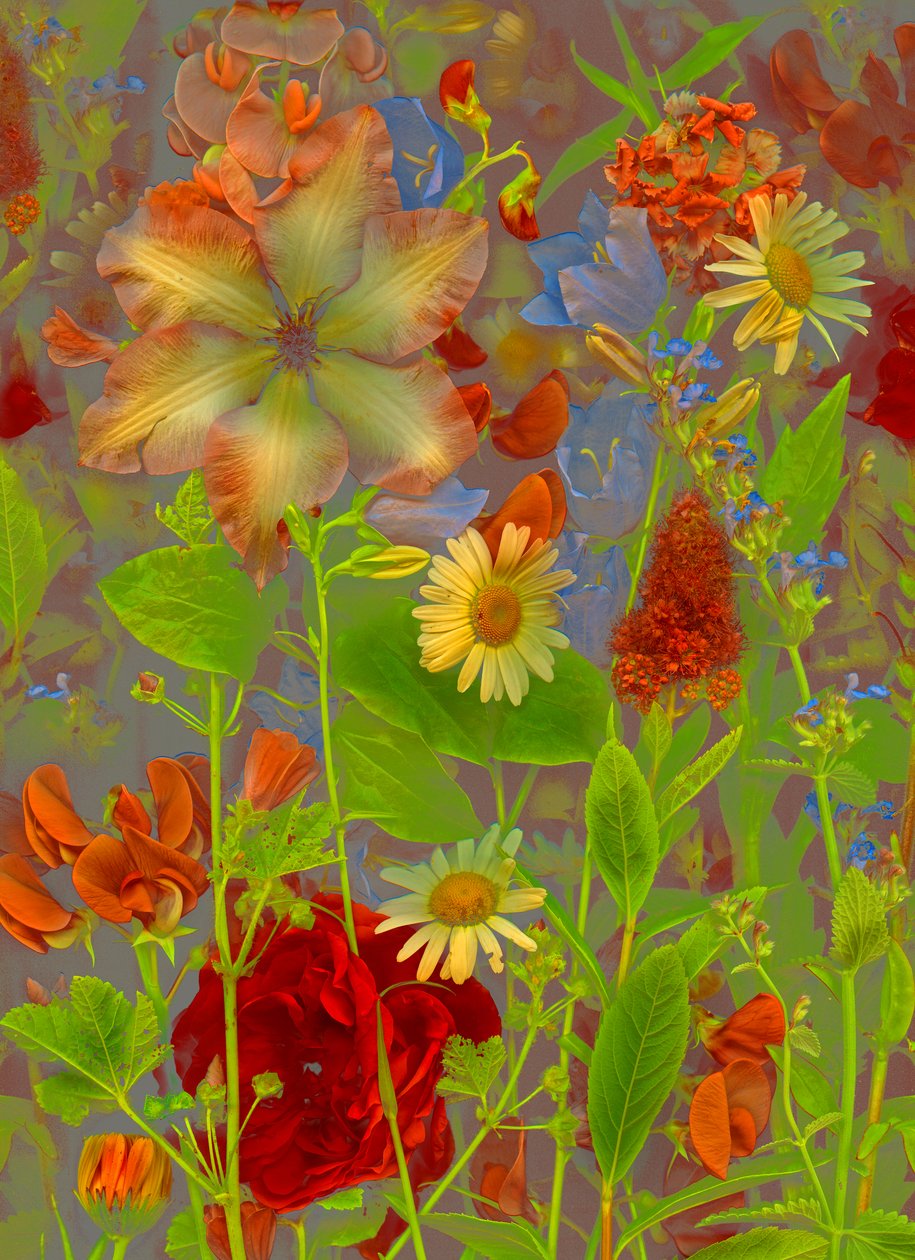 Artfloral no.5 springtime talk, 2016 (photo) - Antonius Antonius