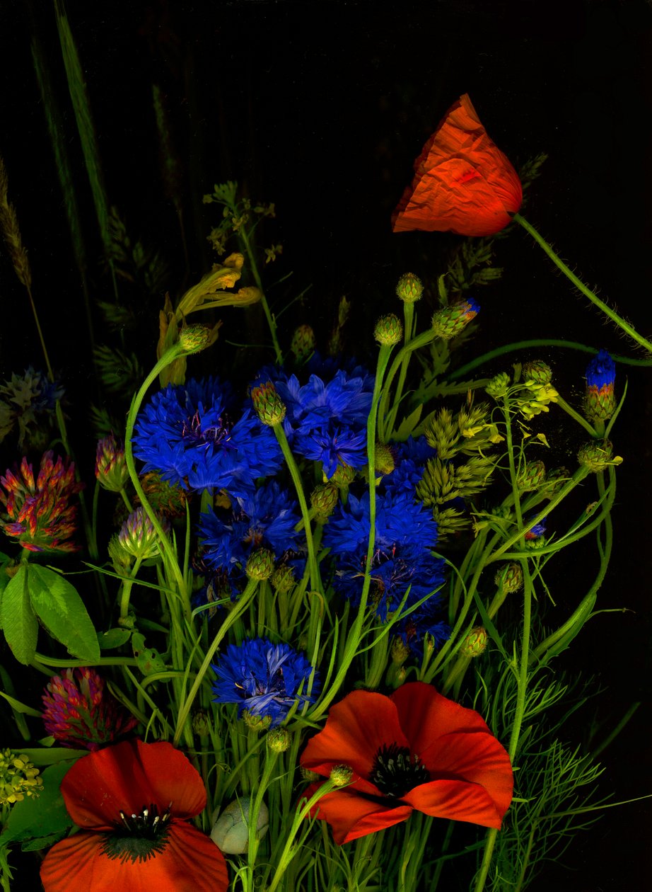 Bouquet original, 2025 (photo) - Antonius Antonius