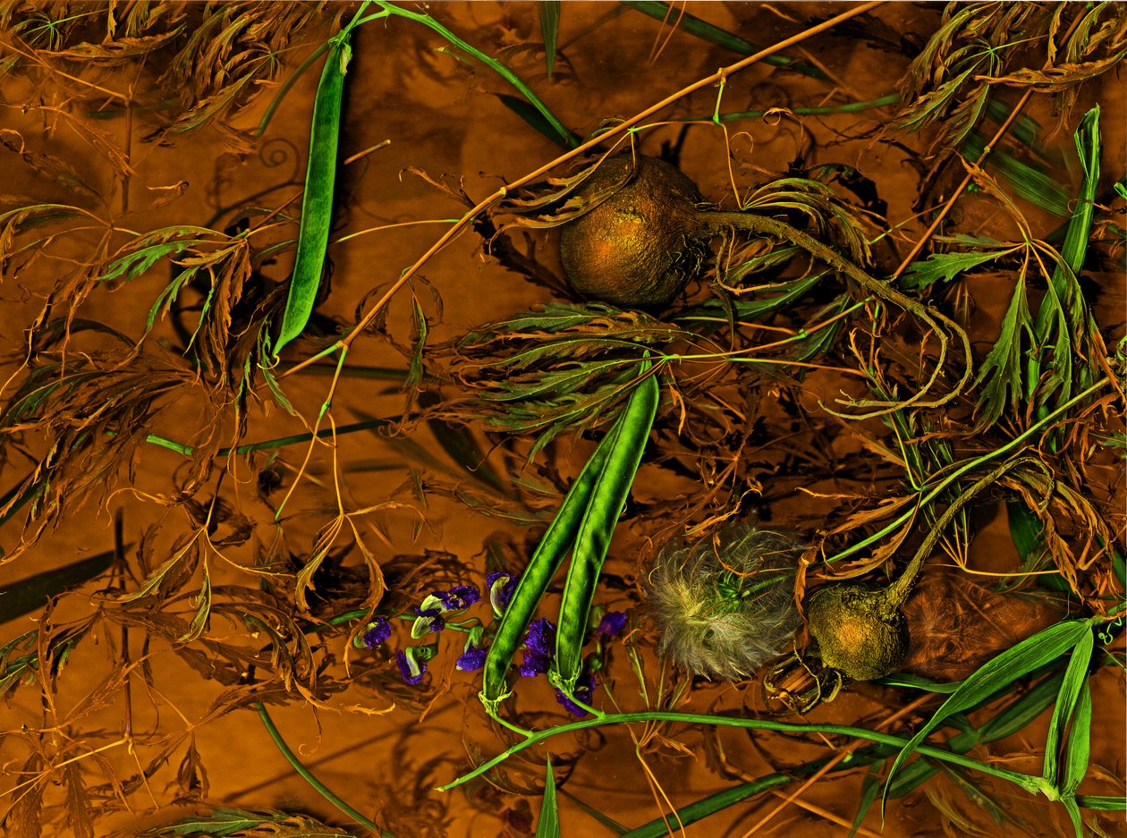 Earthart no.2, 2014 (photo) - Antonius Antonius