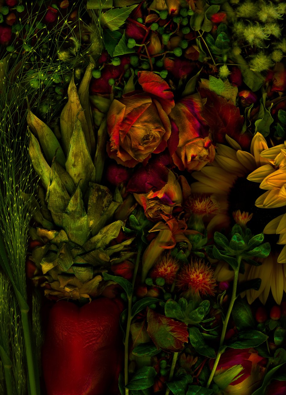 Jardin magique n°26, 2011 (photo) - Antonius Antonius