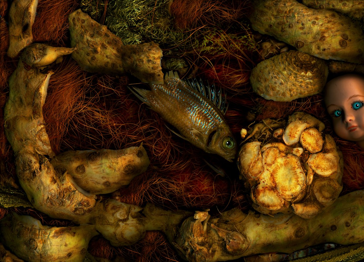 Jardin magique n°70, 2014 (photo) - Antonius Antonius