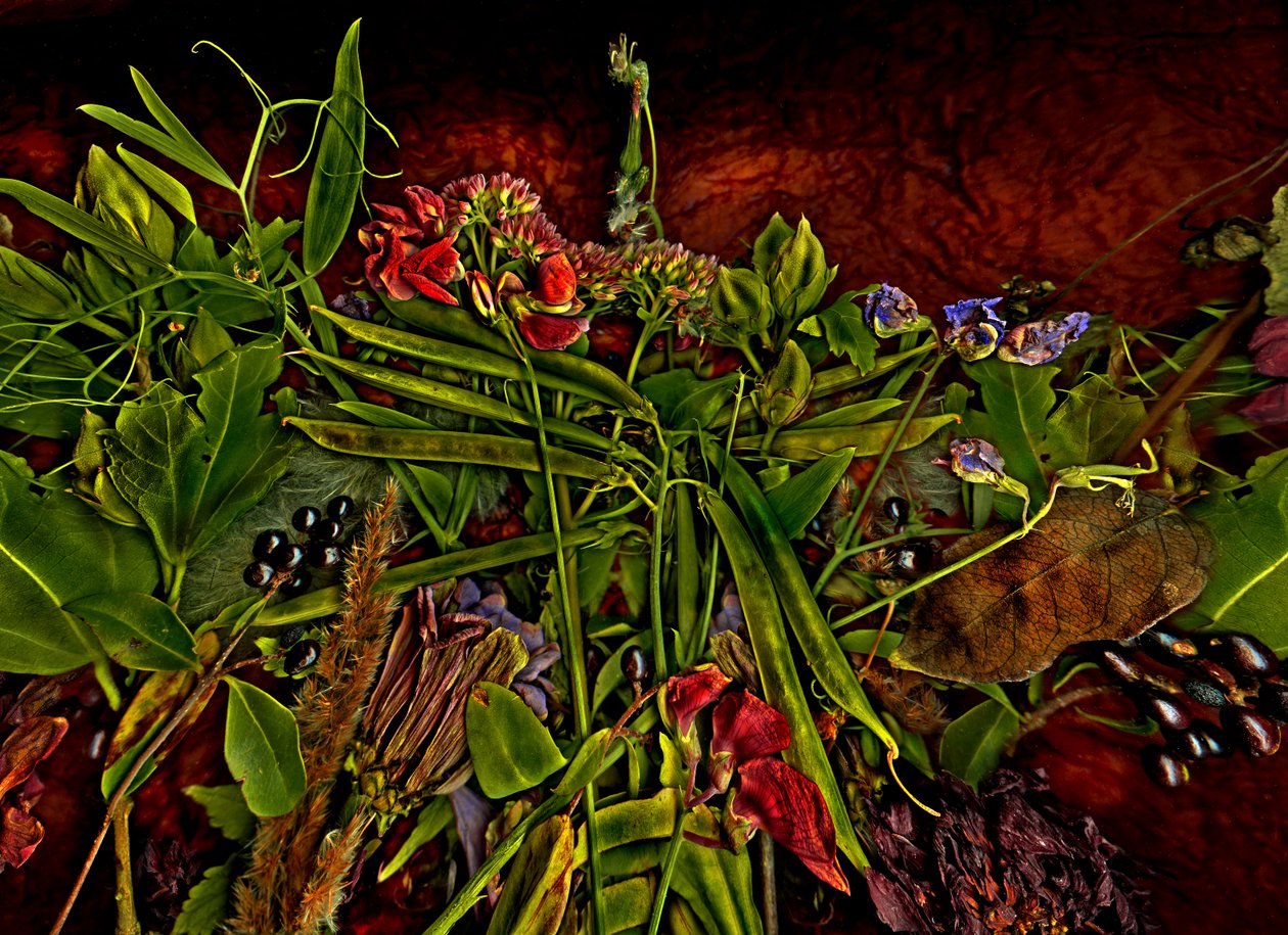 Nature morte m 3, 2014 (photo) - Antonius Antonius