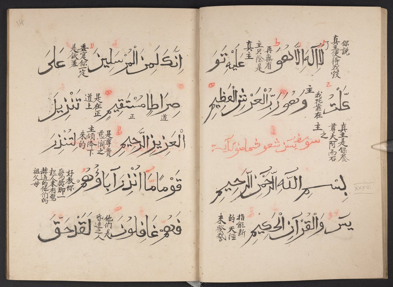 Coran, BL IO Islamique 3440, f.13v-14r - Arabic School
