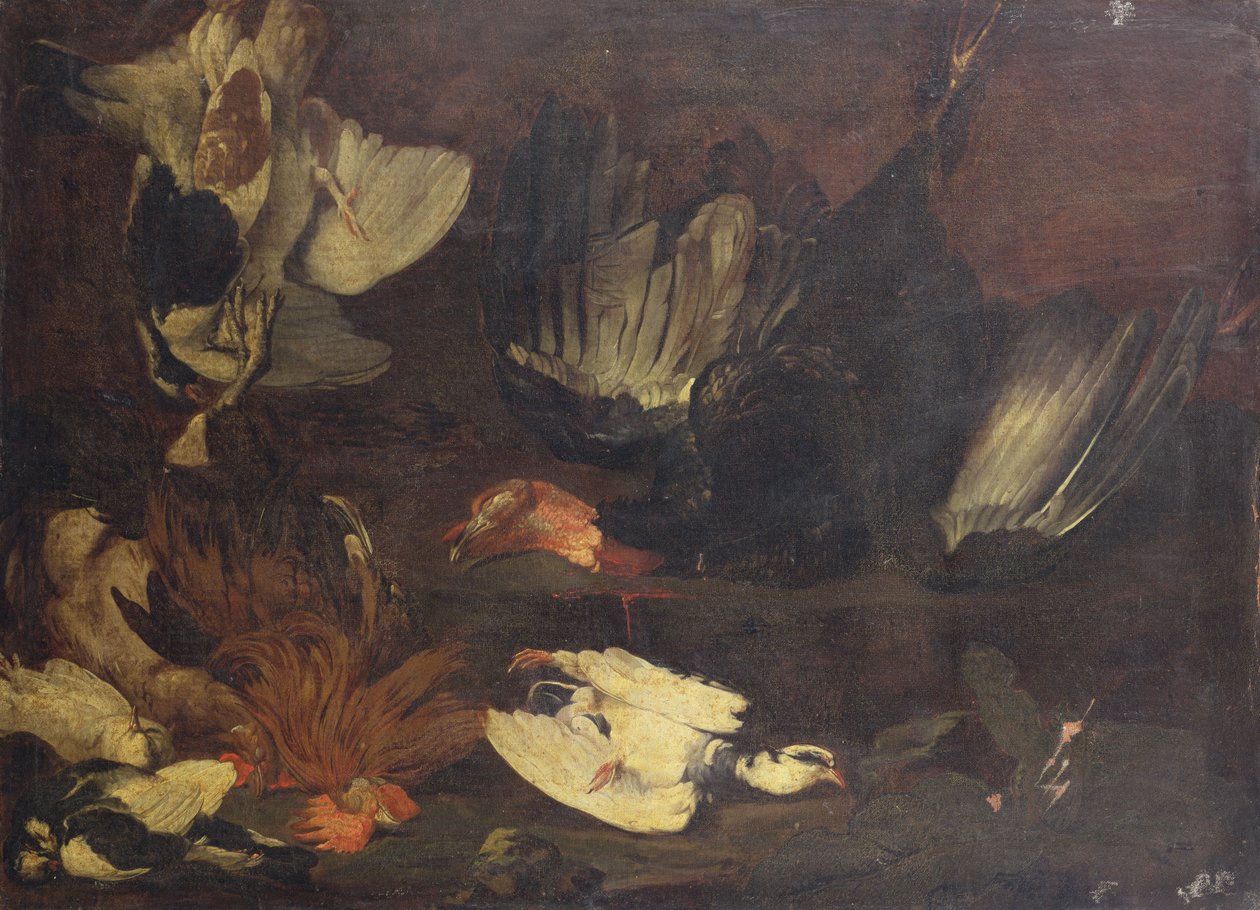 Une dinde morte, des colombes, un coq et d