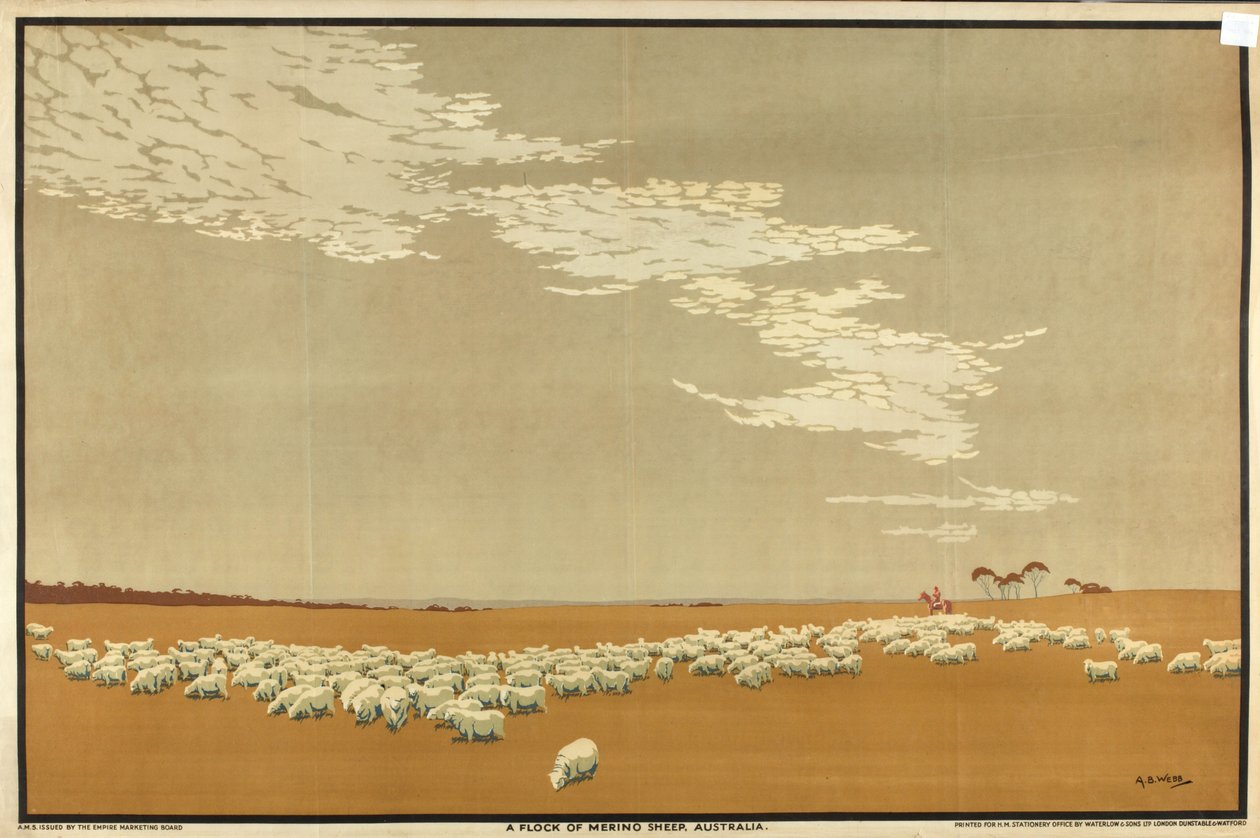 Un troupeau de moutons mérinos - Australie, de la série 
