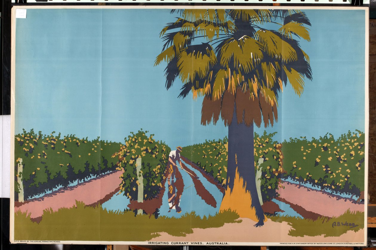 Irrigation des vignes de raisins secs - Australie - Archibald Bertram Webb
