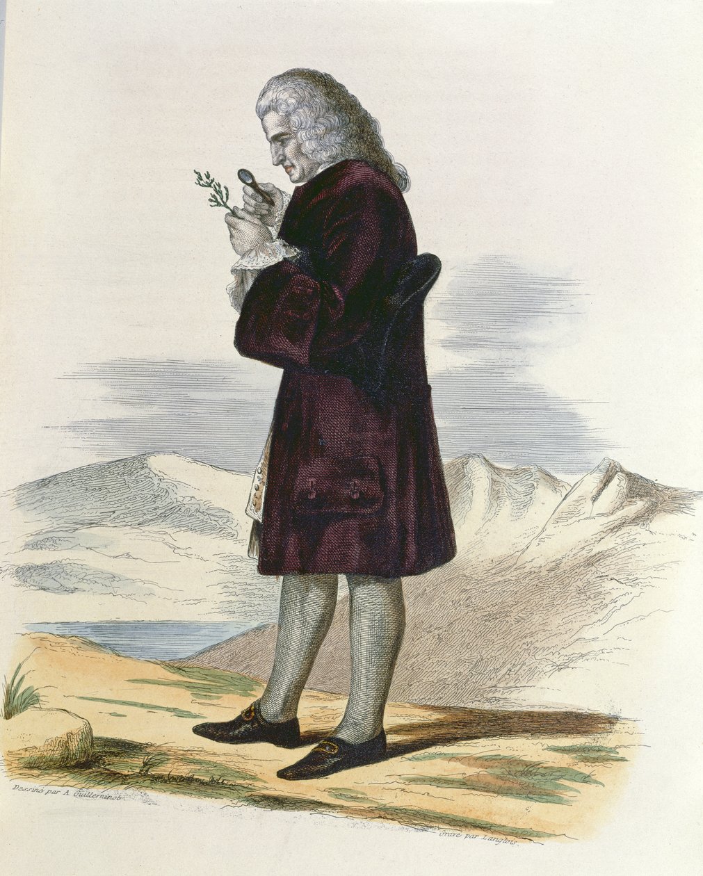Bernard de Jussieu (1699-1777) vers 1820 - Armand Guilleminot