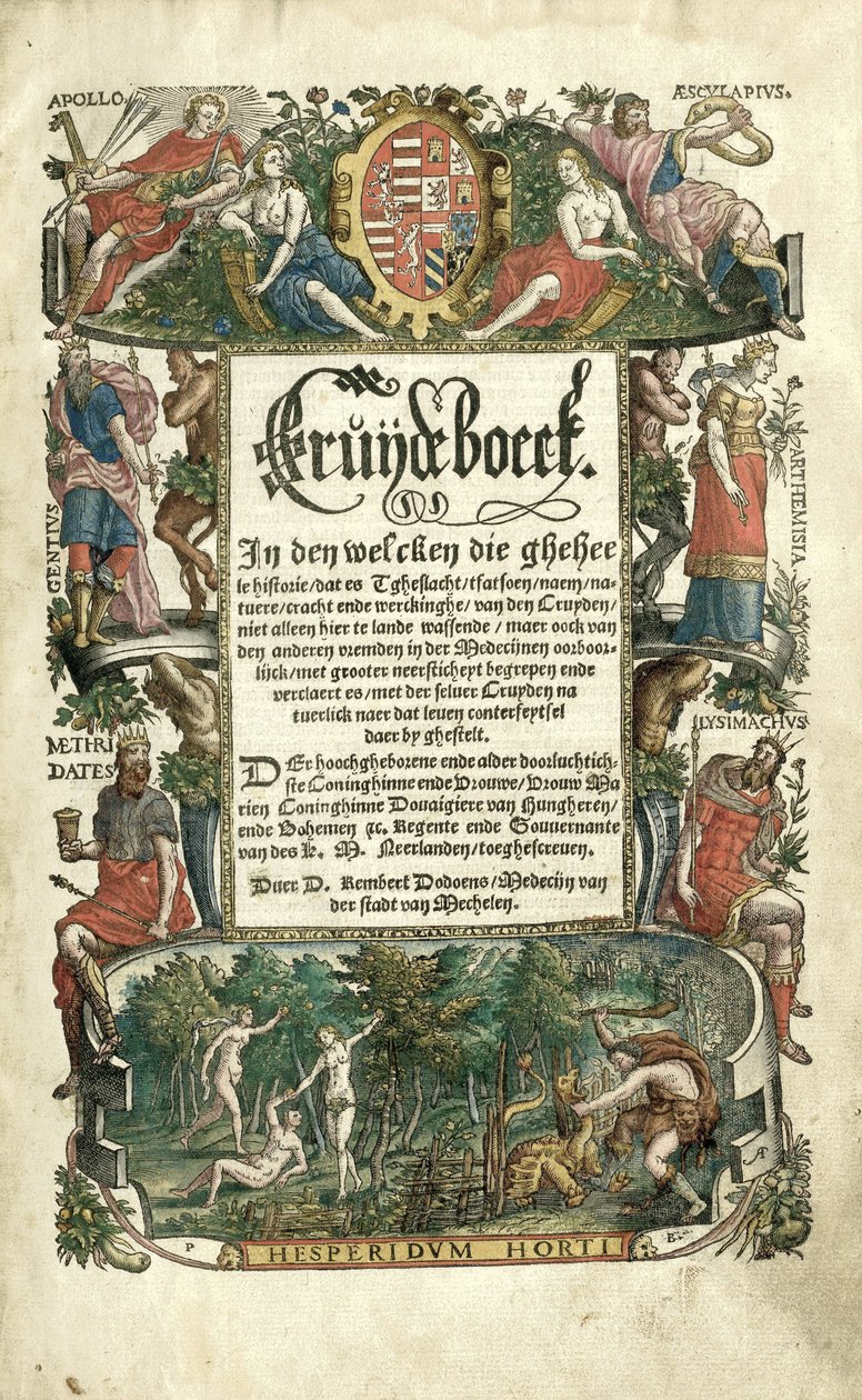 Cruijdeboeck de Dodoens avec des représentations de plantes - Arnaud Nicolaï