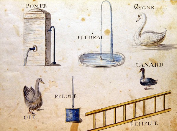 Illustrations de 