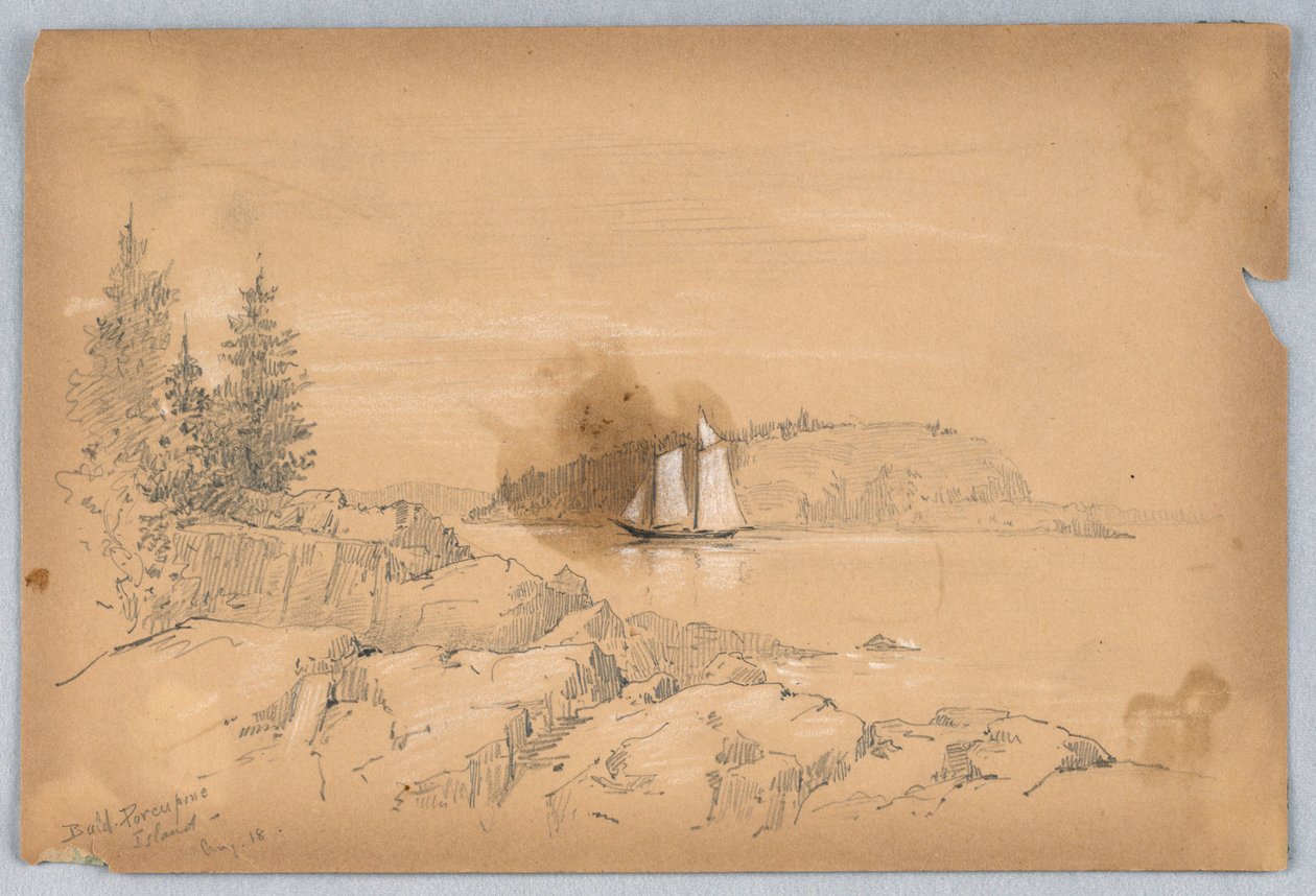 Île Porc-épic Chauve - Arnold William Brunner
