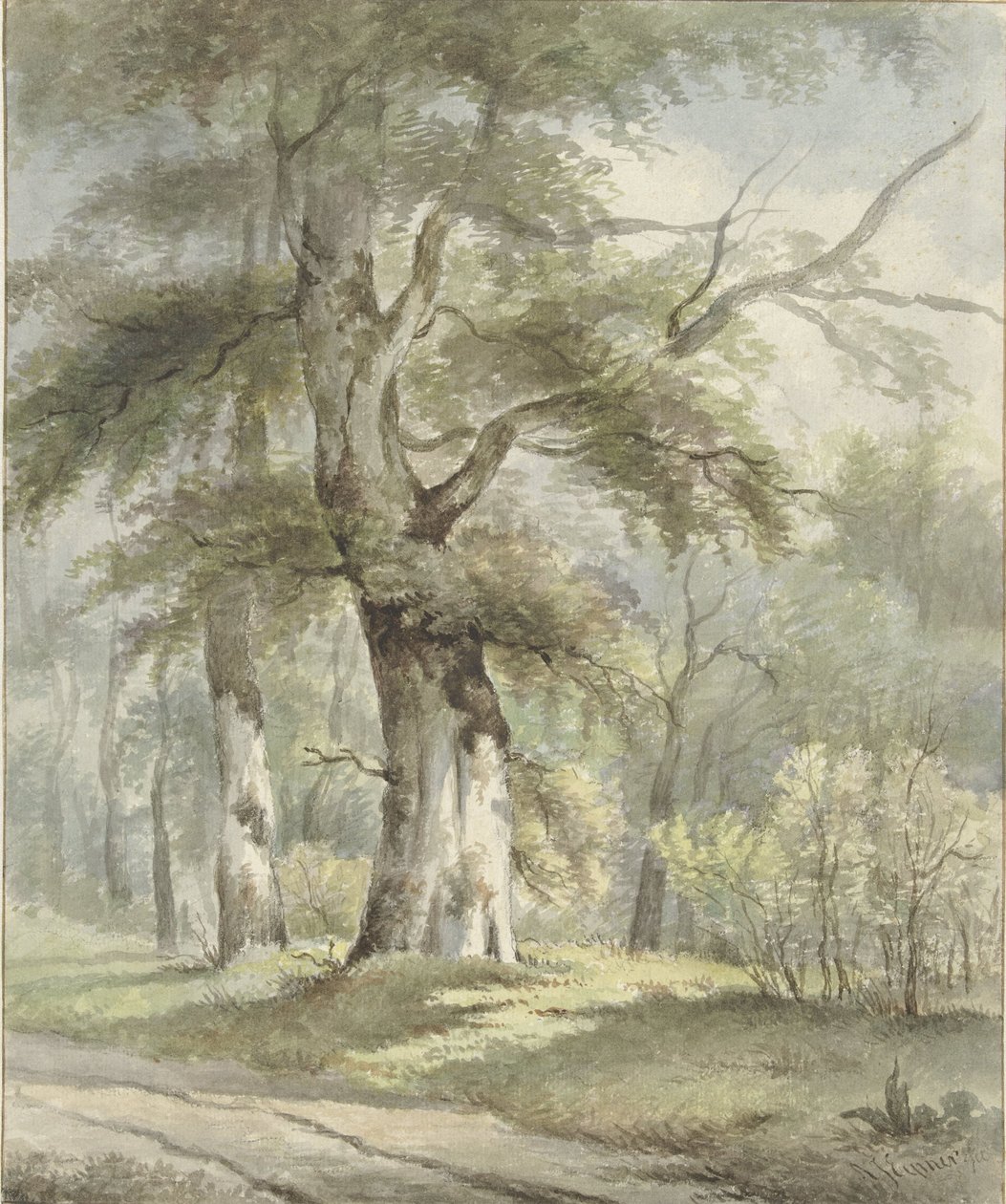 Paysage forestier - Arnoldus Johannes Eymer