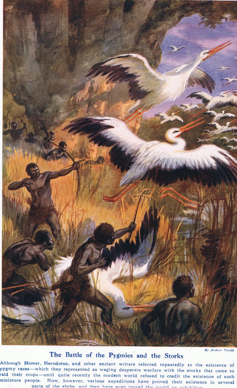 Bataille des Pygmées et des Cigognes, illustration de 
