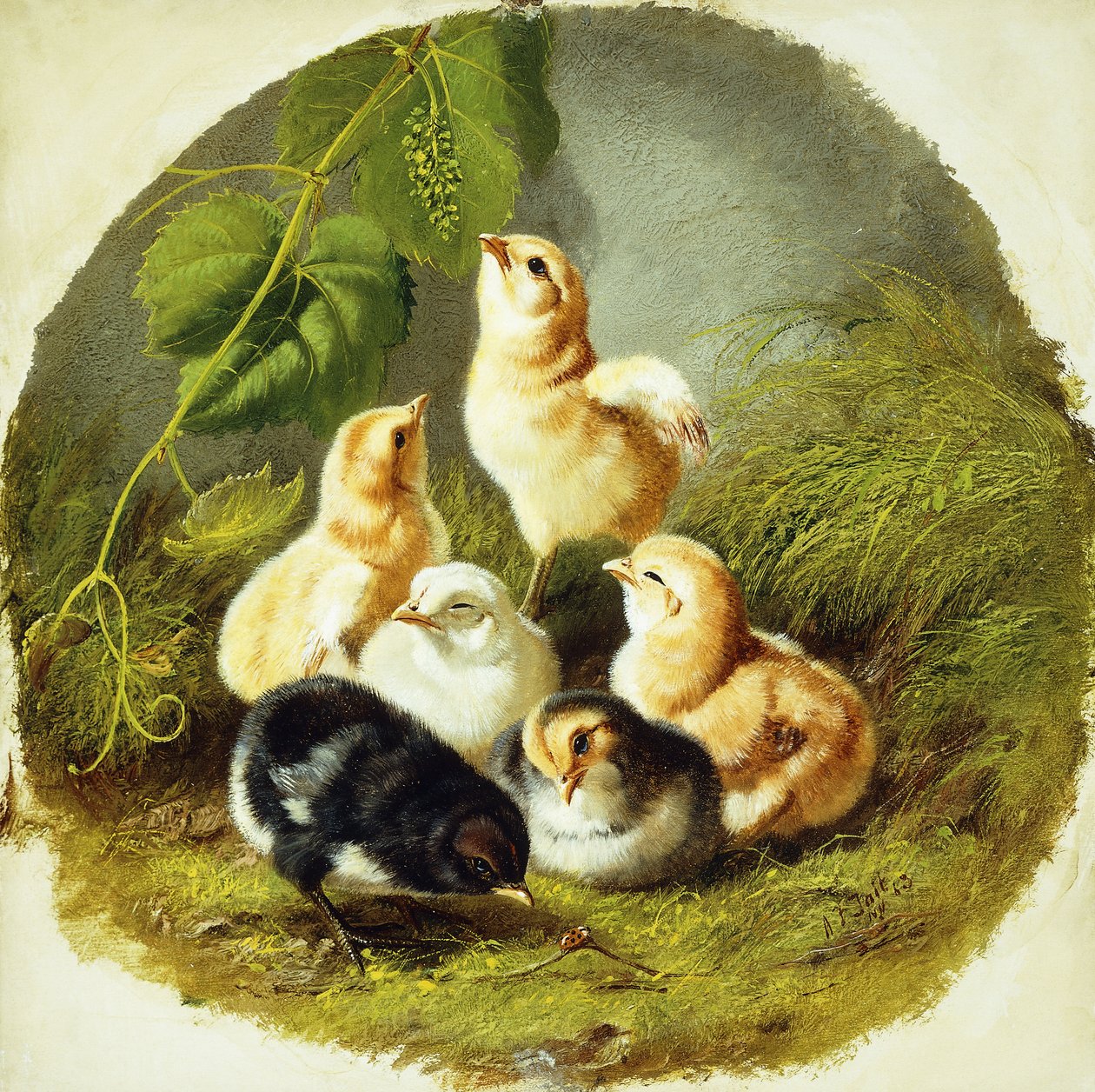 Poussins - Arthur Fitzwilliam Tait