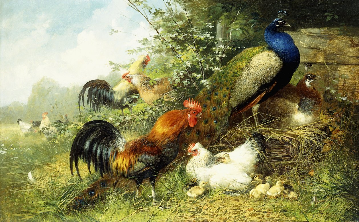 Volaille et paons - Arthur Fitzwilliam Tait