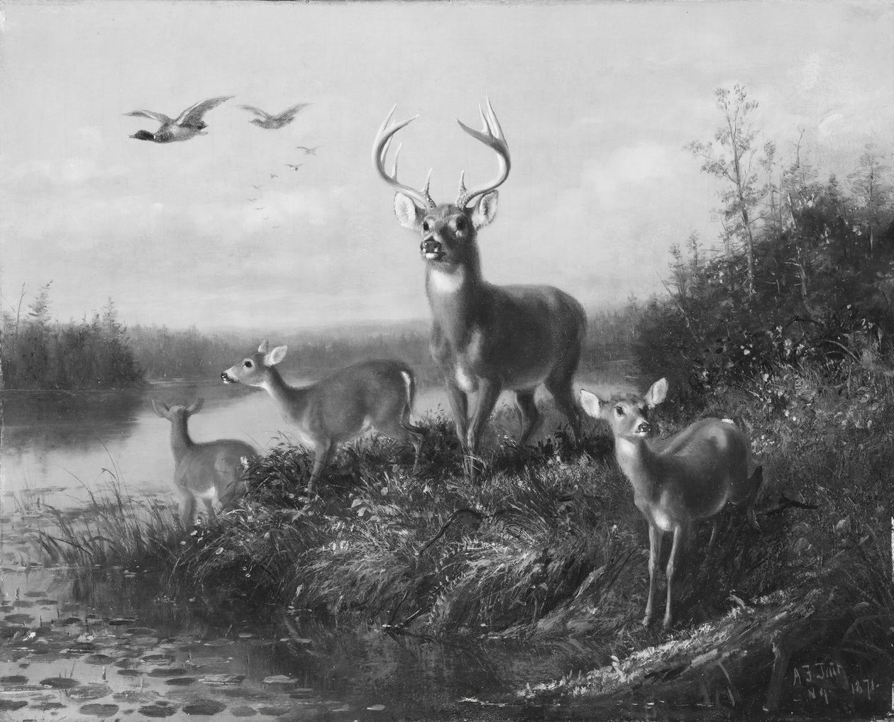 Sur le Qui Vive, Cerf et trois biches, 1871 - Arthur Fitzwilliam Tait