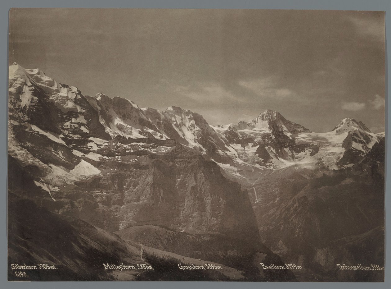 Vue sur le Silberhorn, le Mittaghorn, le Grosshorn, le Breithorn et le Tschingelhorn dans les Alpes bernoises (Panorama de la chaîne de la Jungfrau) - Arthur Gabler