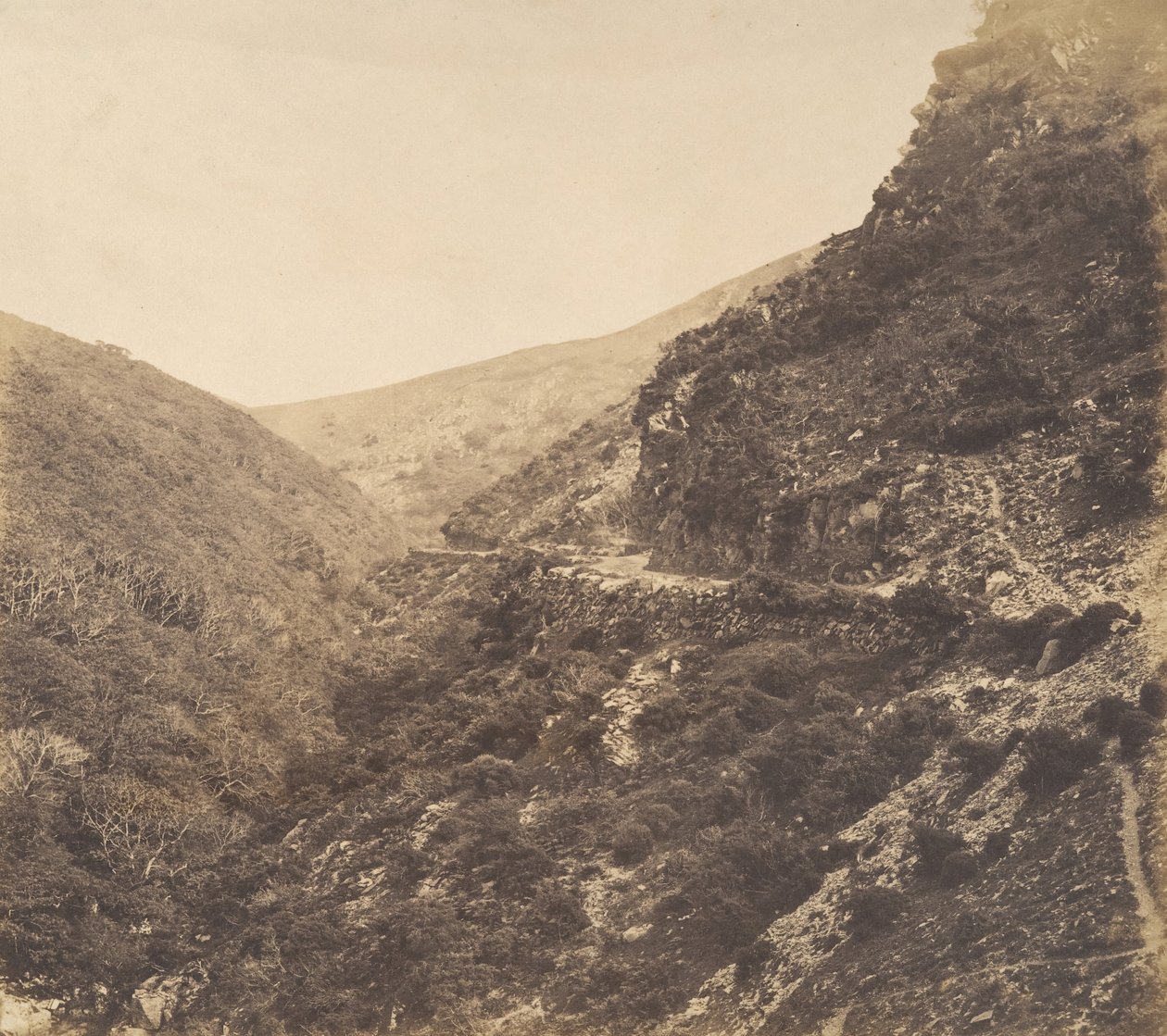 Sur la route de Watersmeet, près de Lynton, North Devon, 1856 - Arthur Julius Pollock