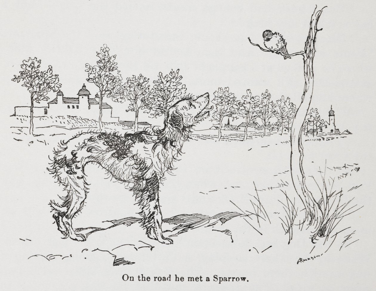 Un chien et un moineau - Arthur Rackham