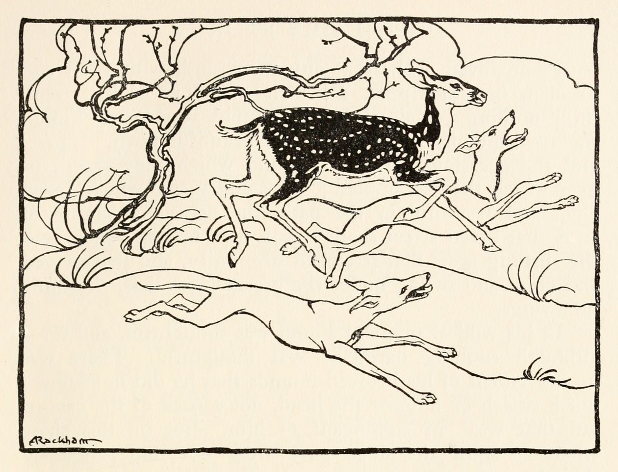Becfola dans son char de La Cour de Becfola dans Contes de fées irlandais - Arthur Rackham