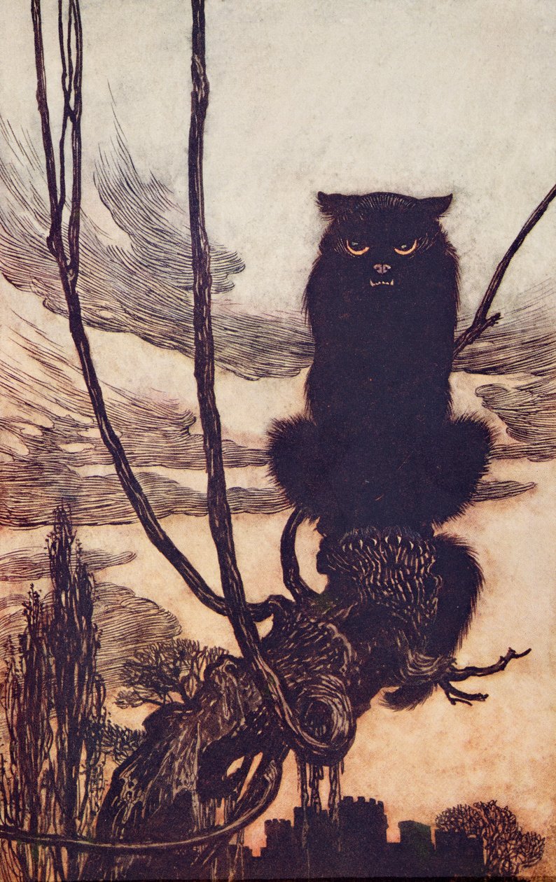 Le jour, elle se transformait en chat, des Contes de fées des frères Grimm, pub. 1909 - Arthur Rackham