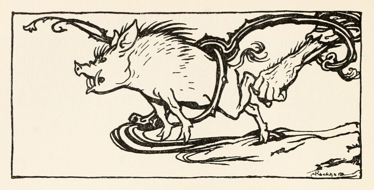 Carl attrapant un sanglier pour son souper de Le Carl du manteau drap dans Contes de fées irlandais - Arthur Rackham