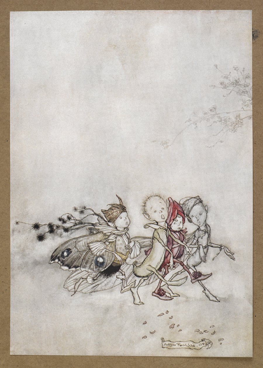 Entrez Peaceblossom, Cobweb, Moth et Mustardseed. Une scène de 