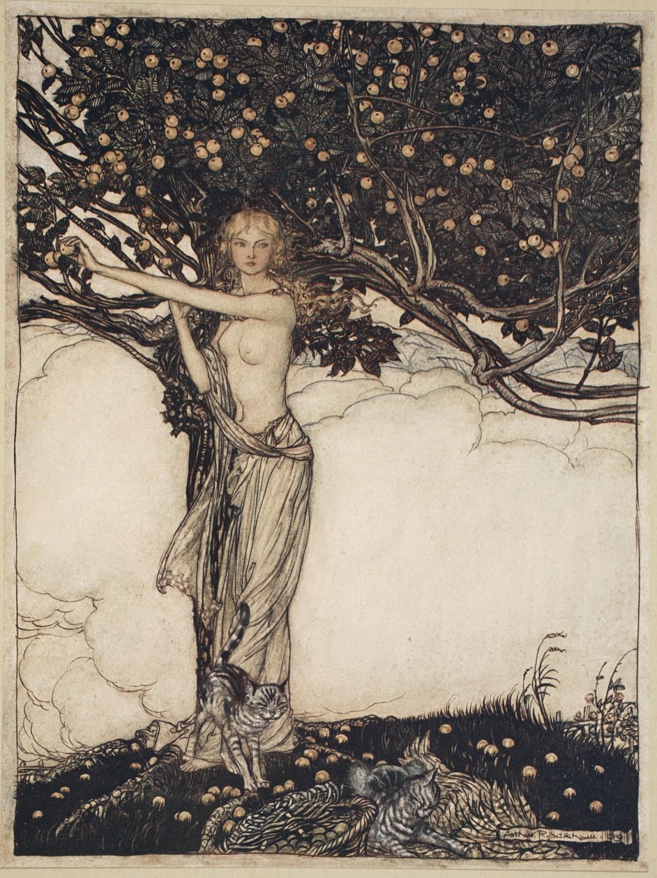 Freia, la belle, illustration de 