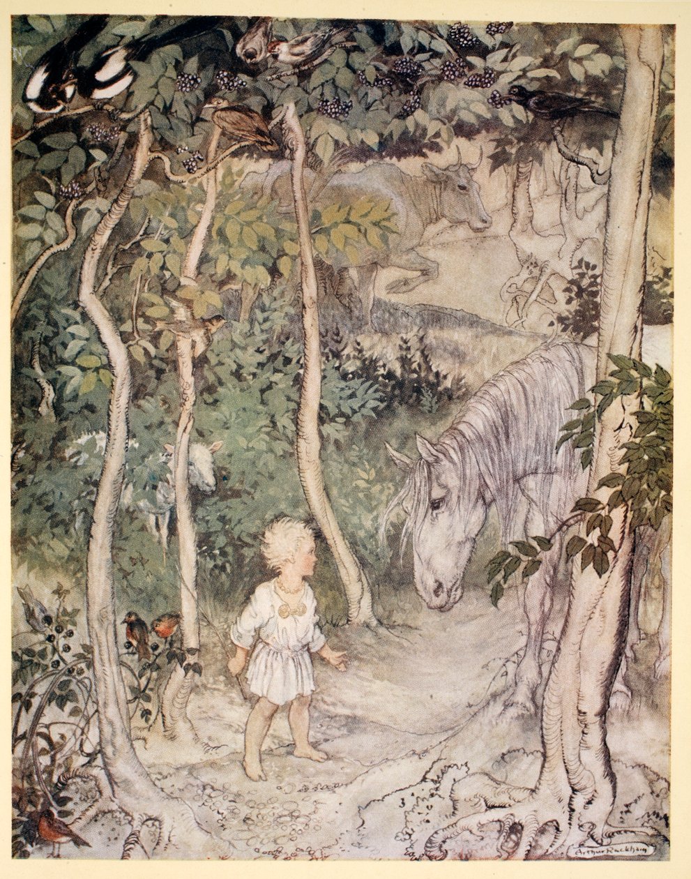 Il pourrait penser, en regardant un cheval qui regarde, 