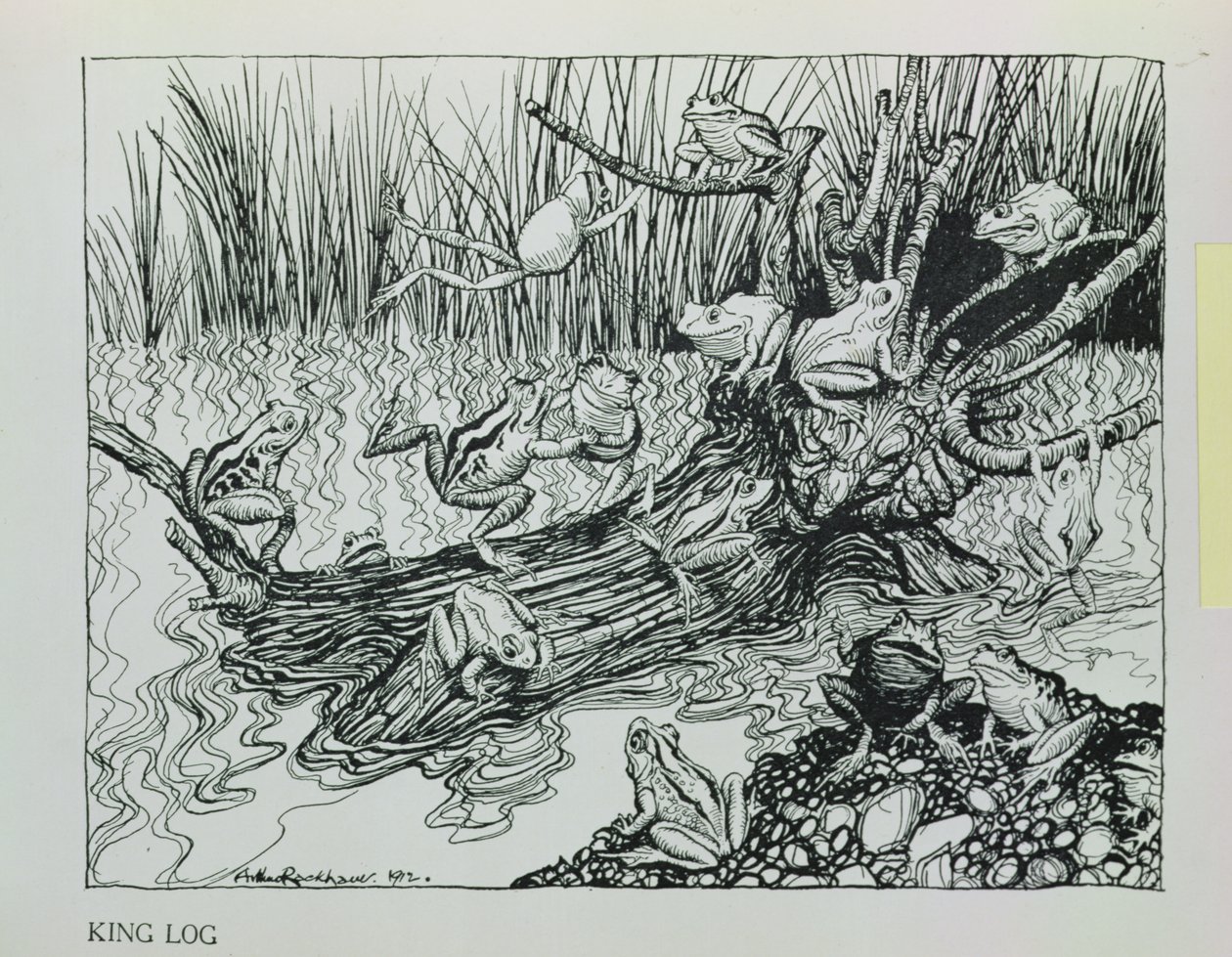 Le Roi Grenouille, illustration de 