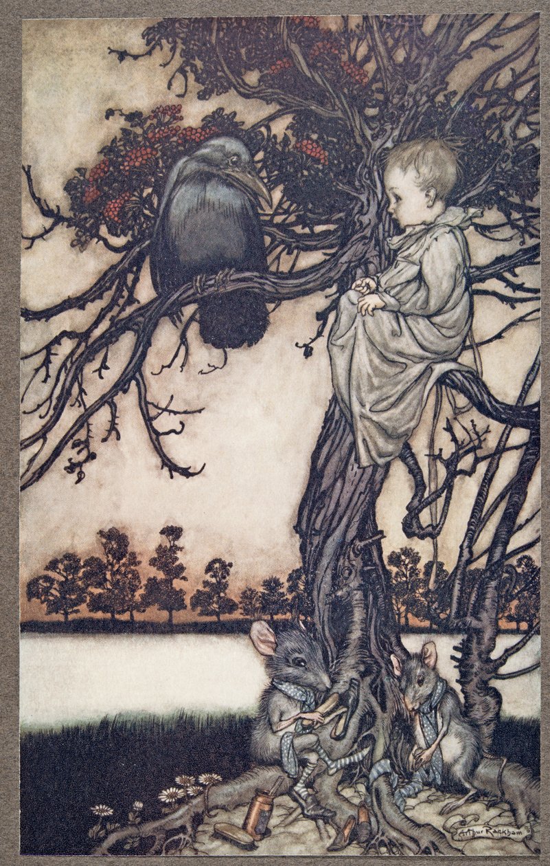 Présenta son étrange cas à Old Solomon Caw, de Peter Pan dans les jardins de Kensington par J M Barrie, pub. 1906 - Arthur Rackham