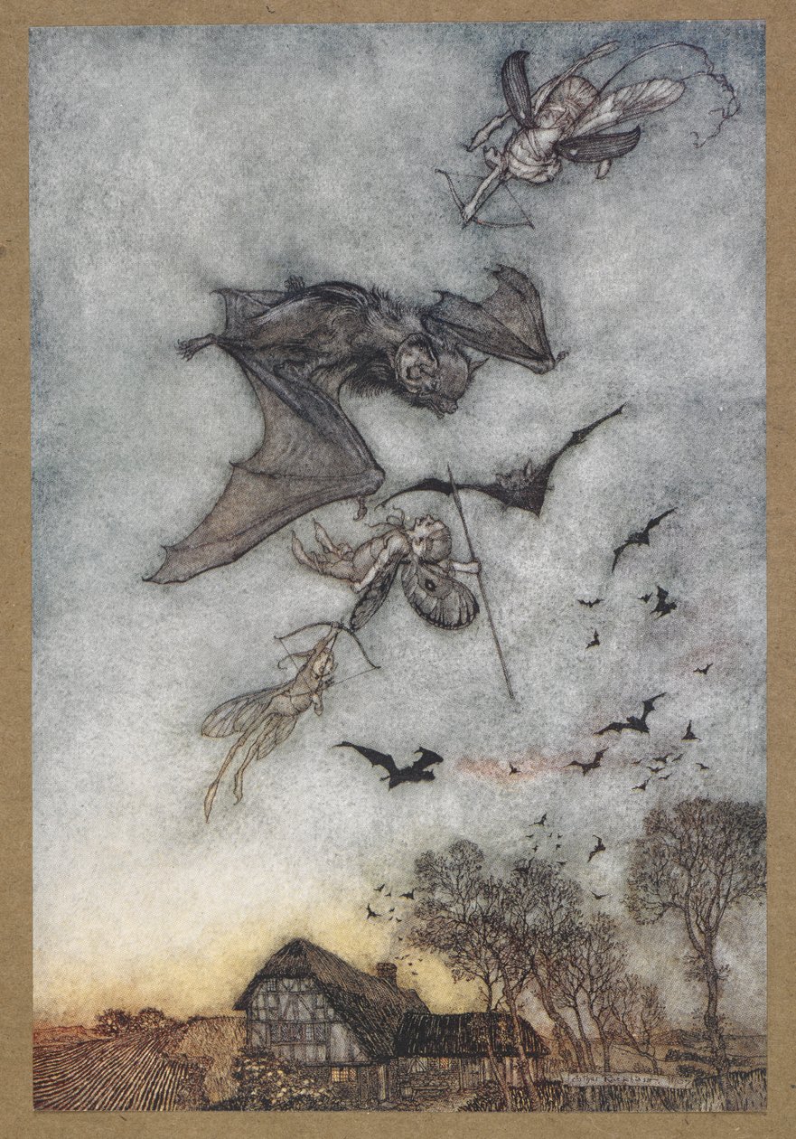 Certains guerroient avec des chauves-souris pour leurs ailes de cuir. Une scène de 