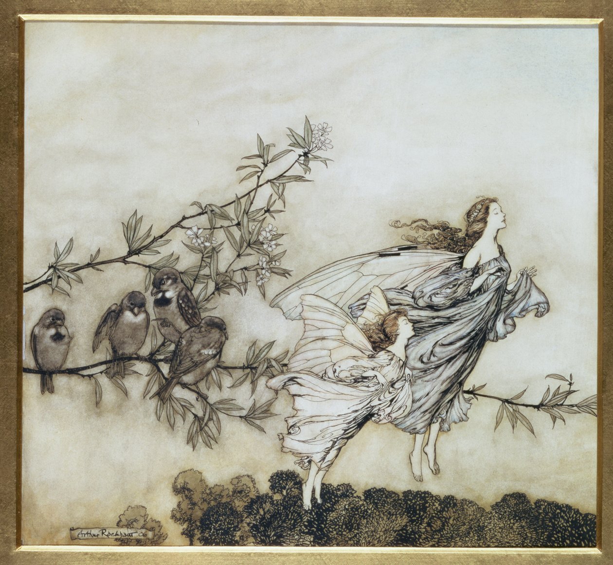 Les fées se disputent avec les oiseaux, illustration de 1906 pour Peter Pan dans les jardins de Kensington par J.M. Barrie, pub. 1906 - Arthur Rackham