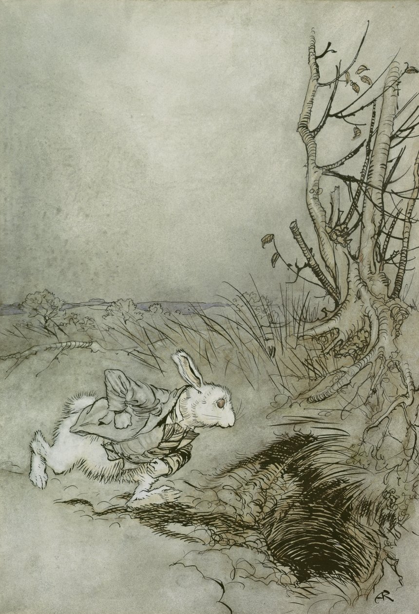 Le Lapin Blanc, illustration de 